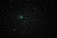 Comet 2009 P1 Garrard 1366